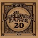 Струни Ernie Ball Earthwood