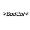 BAD CAT