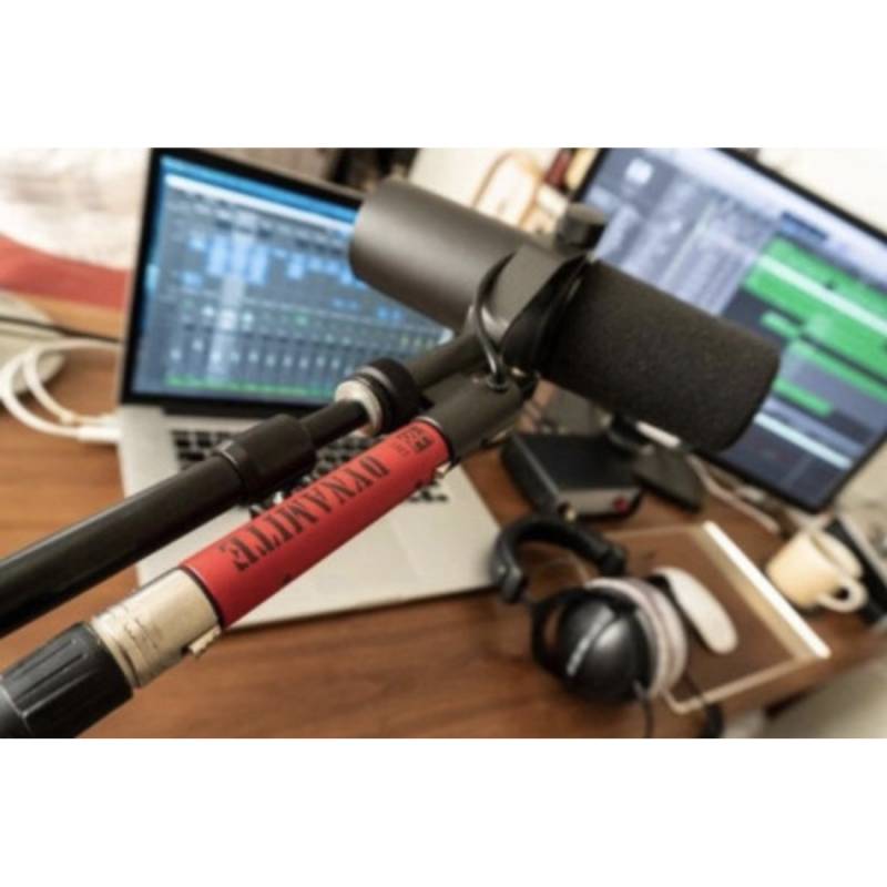 Микрофонный предусилитель Se Electronics DM1