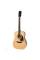Акустическая гитара EPIPHONE DR-100 NT