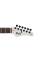 Электрогитара FGN JIL3-ASH-DE664R Iliad Dark Evolution Series (Open Pore White)