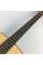 Акустическая гитара TAKAMINE GD10 NS