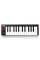 MIDI-клавіатура Akai LPK25 MKII MIDI