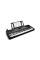 Синтезатор ALESIS HARMONY 54