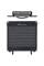 Гітарний підсилювач AMPEG PF-350