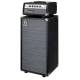 Гитарный кабинет AMPEG SVT-210AV Гитарный кабинет AMPEG SVT-210AV