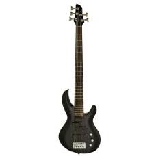 Aria IGB-STD/5 MBK