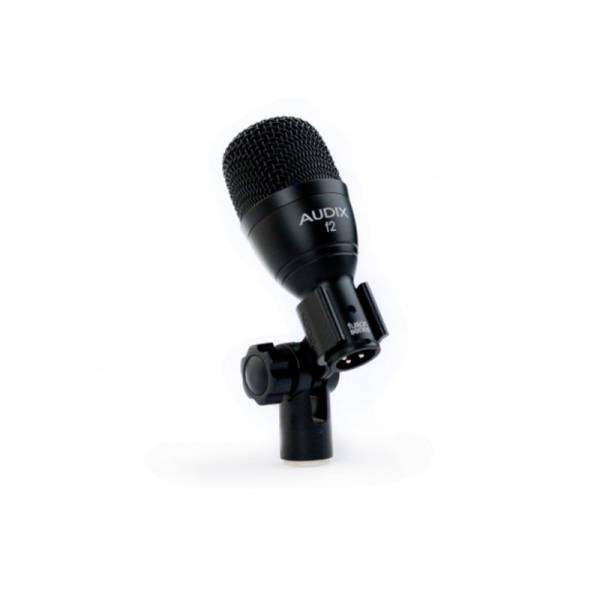 Микрофон инструментальный Audix F2