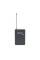 Микрофонная радиосистема Samson CONCERT 88X PRESENTATION-UHF WIRELESS SYSTEM WITH LM5