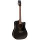 Електроакустична гітара CORT AD880CE (BLACK)