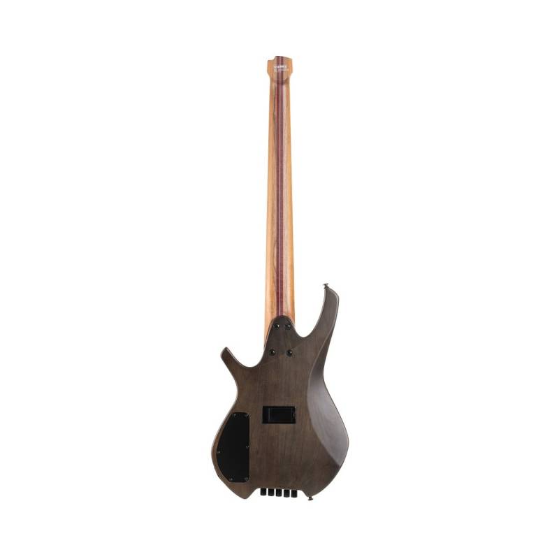 Бас-гітара CORT Artisan Space 5 (Star Dust Black)