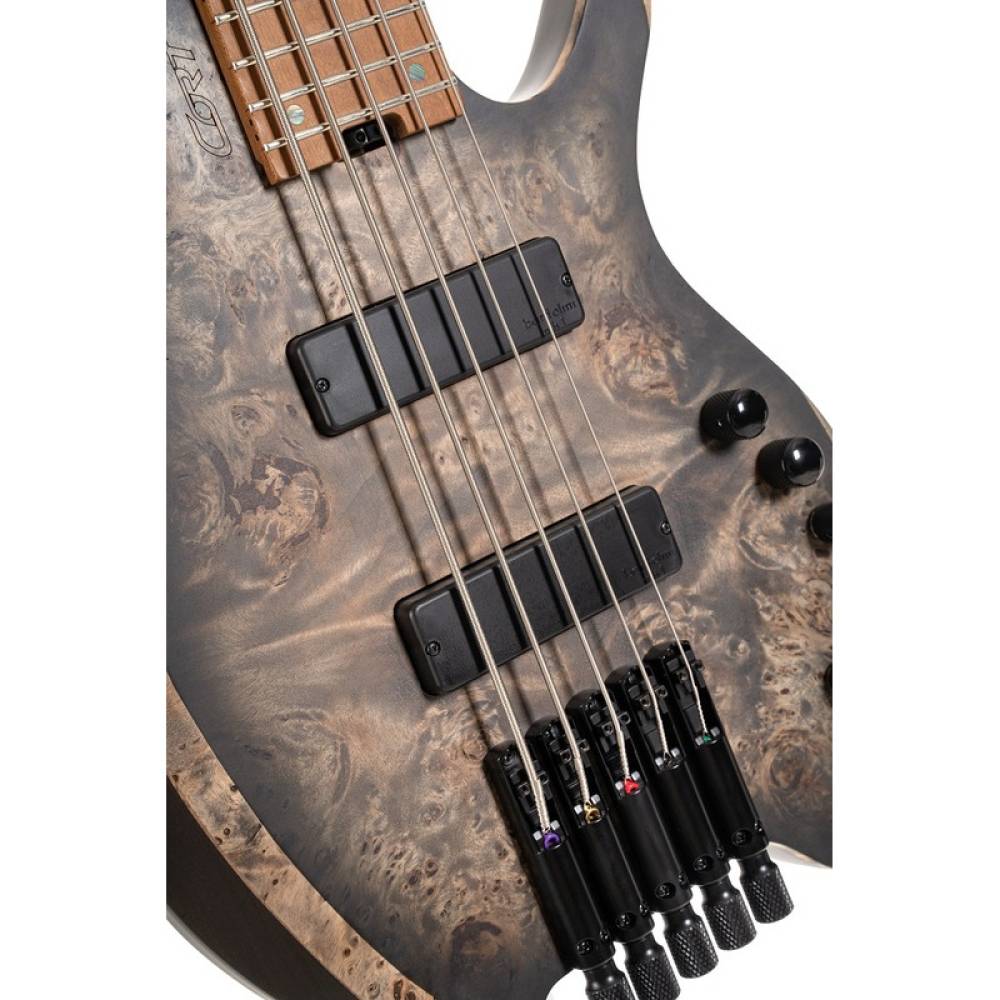 Бас-гитара CORT Artisan Space 5 (Star Dust Black) Бас-гитара CORT Artisan Space 5 (Star Dust Black)