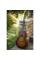 Електроакустична гітара CORT CORE-PE MAHOGANY (OPEN PORE BLACK BURST)