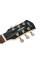 Електрогітара CORT CR100 (Black)