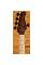 Бас-гітара CORT GB-Fusion 5 (Antique Brown Burst)