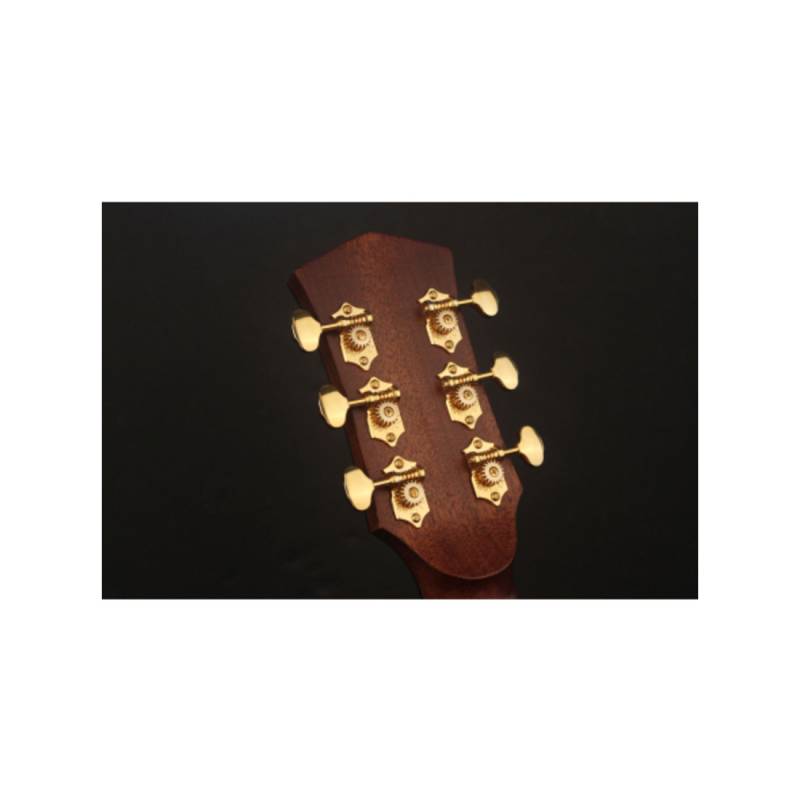 Електроакустична гітара CORT GOLD-A6 (Natural)