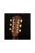 Електроакустична гітара CORT GOLD A8 (Light Burst)