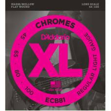 Струни для бас-гітари D'Addario ECB81 Chromes Flatwound Regular Light 45/100