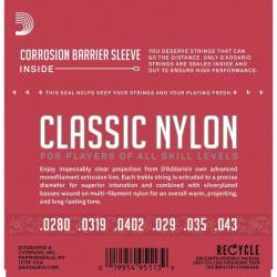 Струны для классической гитары D'Addario EJ27N Student Nylon Normal Tension