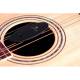 Зволожувач для гітари D'Addario Planet Waves GH Acoustic Guitar Soundhole Humidifier