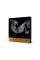 Струны для контрабаса D'Addario KAPLAN BASS STRING SET 3/4 Scale, Medium Tension