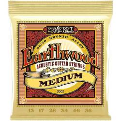 Струни для акустичної гітари Ernie Ball 2002 Earthwood Medium 80/20 Bronze 13/56