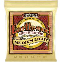 Струны для акустической гитары Ernie Ball 2003 Earthwood 80/20 Bronze Medium Light 12/54