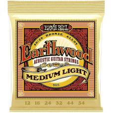 Струни для акустичної гітари Ernie Ball 2003 Earthwood 80/20 Bronze Medium Light 12/54