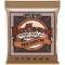 Струни для акустичної гітари Ernie Ball 2144 Earthwood Phosphor Bronze 13/56
