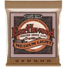 Струни для акустичної гітари Ernie Ball 2146 Earthwood Phosphor Bronze 12/54