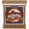Струни для акустичної гітари Ernie Ball 2151 Earthwood Phosphor Bronze 10/52