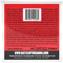 Струни для електрогітари Ernie Ball 2206 Medium Light Nickel Wound 12/54
