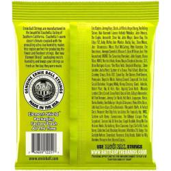 Струни для електрогітари Ernie Ball 2251 Classic Pure Nickel Regular Slinky 10/46