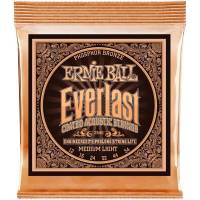 Струни для акустичної гітари Ernie Ball 2546 Everlast Medium Phosphor Bronze 12/54