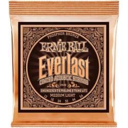 Струны для акустической гитары Ernie Ball 2546 Everlast Medium Phosphor Bronze 12/54