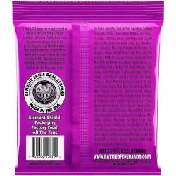 Струни для бас-гітари Ernie Ball 2831 Power Slinky Nickel Wound 55/110