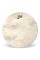 Пластик для бас-барабана Evans BD20CT 20" Calftone Bass