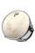 Пластик для тома Evans TT10C7 10" Calftone Tom