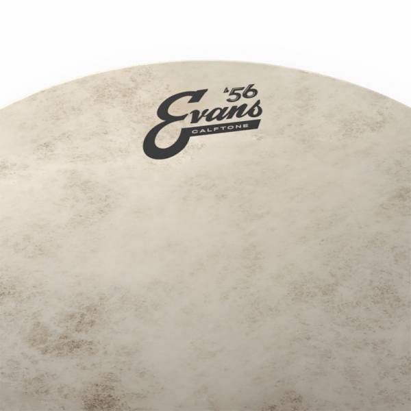 Пластик для малого барабана Evans TT14C7 14" Calftone