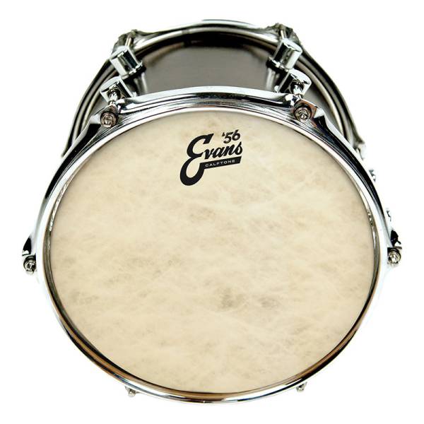 Пластик для тома Evans TT18C7 18" Calftone Tom