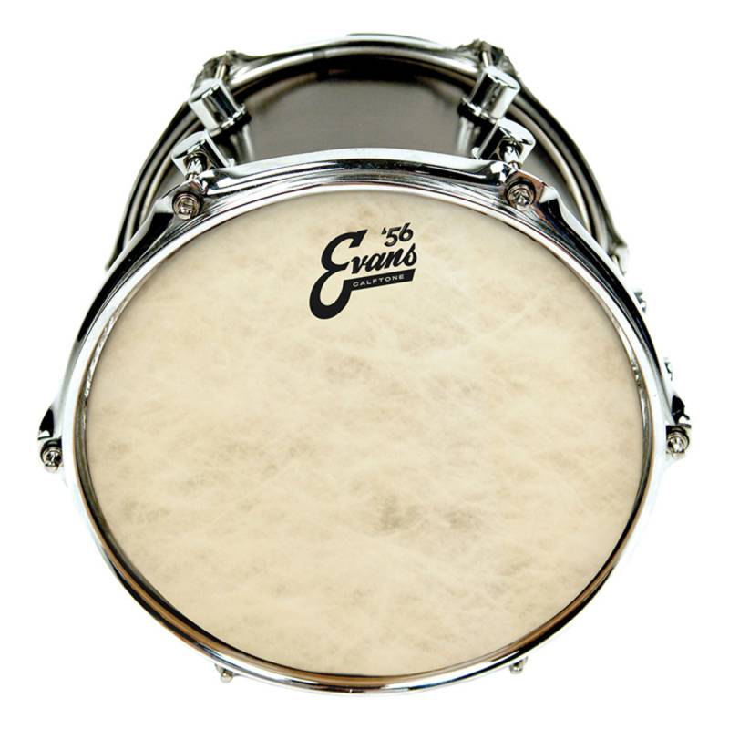 Пластик для тома Evans TT18C7 18" Calftone Tom