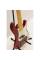 Бас-гитара Fender American Standard Precision Bass 5 String Candy Cola Maple Neck 2011