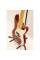Бас-гитара Fender American Standard Precision Bass 5 String Candy Cola Maple Neck 2011