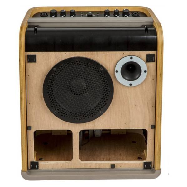 Гитарный комбоусилитель Fender Acoustic SFX