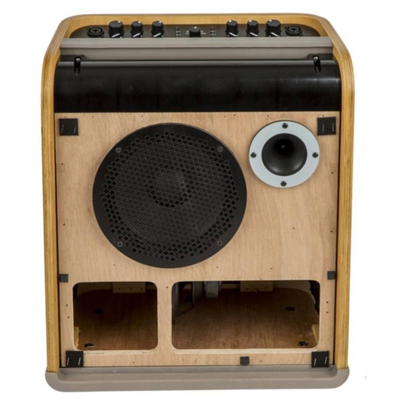 Гитарный комбоусилитель Fender Acoustic SFX