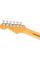 Електрогітара FENDER AMERICAN PROFESSIONAL CLASSIC STRATOCASTER FADED SHERWOOD GREEN METALLIC