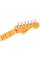 Електрогітара FENDER AMERICAN PROFESSIONAL CLASSIC STRATOCASTER HSS FADED BLACK