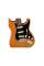 Електрогітара FENDER AMERICAN PRO II STRATOCASTER ROASTER PINE NATURAL