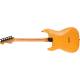 Електрогітара FENDER AMERICAN PRO II LIMITED EDITION STRATOCASTER HSS HT AGED NATURAL