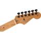 Електрогітара FENDER AMERICAN PRO II LIMITED EDITION STRATOCASTER HSS HT AGED NATURAL
